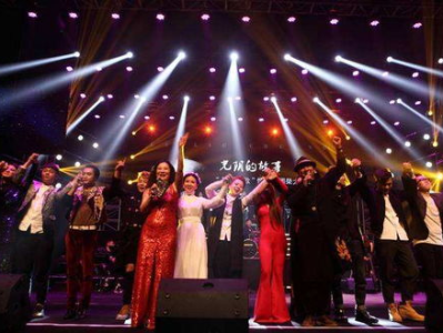 王王队演唱会：燃情之夜，音乐盛宴