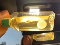 多方回应用东方树叶养茶菌当宠物